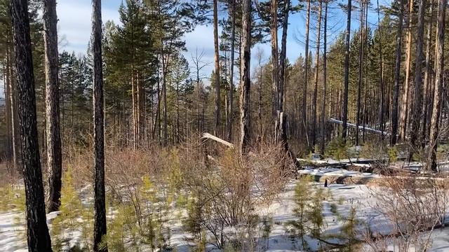 Самый мощный Baofeng ? Baofeng uv 10 r plus смотреть онлайн