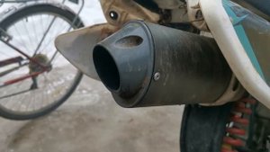 Питбайк Regul Moto 150