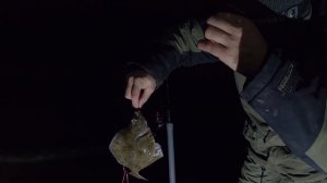 Ловля камбалы на фидер в Балтийском море. Рыбалка в море.