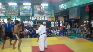 Кёкусинкай против Муай Тай