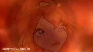 Блум и валтер/50 оттенков серого