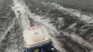 Johnson Evinrude 9.9 -15 несправність редуктора.