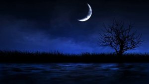 Зайчик. Мистическая история.