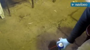 Ремонт форсунки citroen c5 x7 2.0 hdi