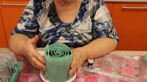 Сеем Астры на Рассаду. Рассада в Улитке.