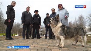 Владелец собаки, который не прибирает место выгула, может получить штраф