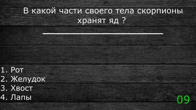 Вопросы для проверки своих знаний и повышения эрудиций.