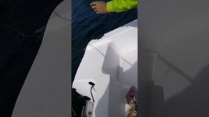 Опять БРИЗ 17 рыбалка в Уссурийском заливе