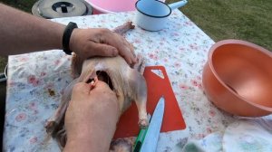 как разделать домашнюю птицу, потрошение ( утка, курица....)