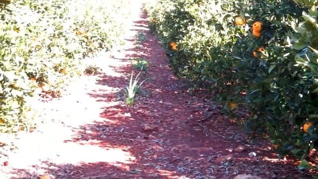 Alte, Loulé, Algarve, Portugal, Europe смотреть онлайн