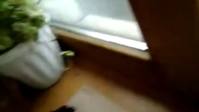 Хостел в иркутске смотреть онлайн