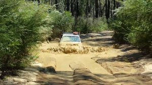 LC80 1hz Land Cruiser 80 series toolangi