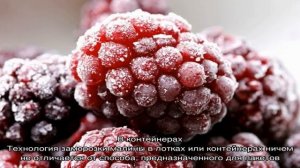 Лучшие способы, как заморозить малину на зиму правильно