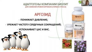 Аргозид для нормализации давления.  Отрывок из лекции Н. В. Коротченко «Стресс»