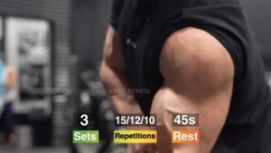 تمارين التي تجعل عضلة البايسبس واسعة بسرعة - Biceps Workout