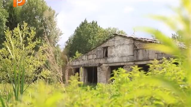 Знай наших. Экоферма "Гусиная столица"