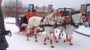 русская тройка лошадей 2