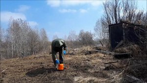 Обработка участка от клещей и комаров