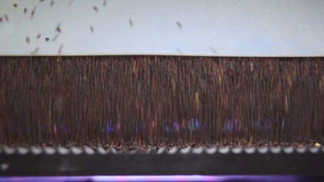 Сортировка рапса на фотосепараторе Зоркий (2017) смотреть онлайн