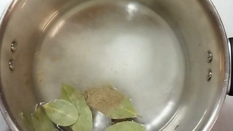 Скумбрия малосольная по-домашнему.