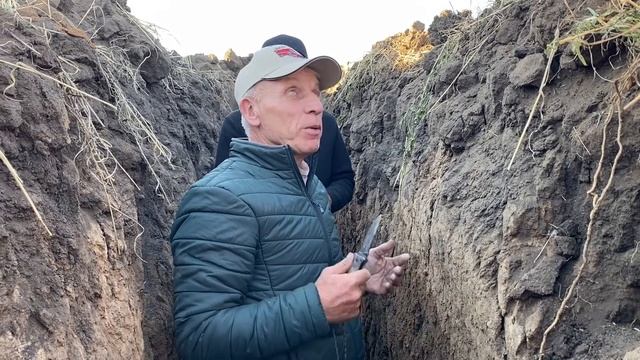 Нужны культуры со стержневым корнем смотреть онлайн