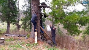 Медвежонок