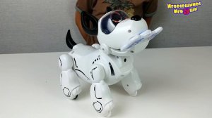 Про Игрушки Роботы для детей Веселый интерактивный робот щенок PupBo Silverlit Развивающие игрушки