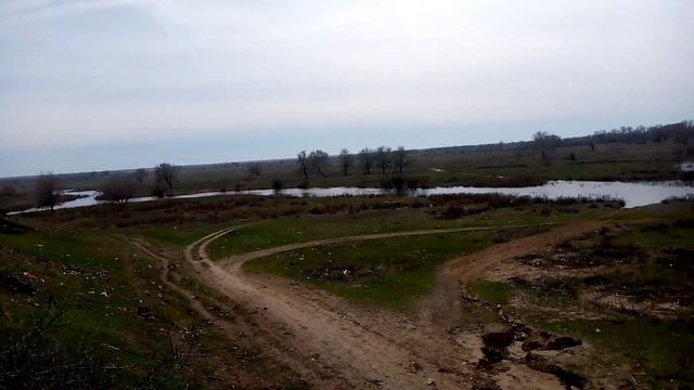 Трихопол для кур 🐓🐔👍