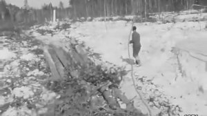 Лесозаготовки.1971 год.