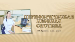 Периферическая нервная система - обзор строения черепных нервов.