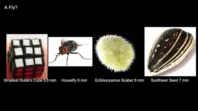 Universe Size Comparison And Beyond Part 1 (COMPLETE VERSION)