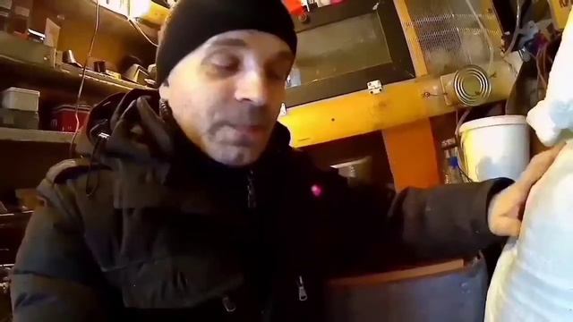 Содержание перепелов на подстилке.  Кормление, уборка у перепелов. #папанадаче