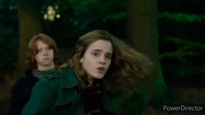 Драко и Гермиона. Сто шагов назад.