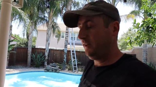 Мой бассейн в США превратился в болото / пилю пальмы сам как Робинзон ! смотреть онлайн