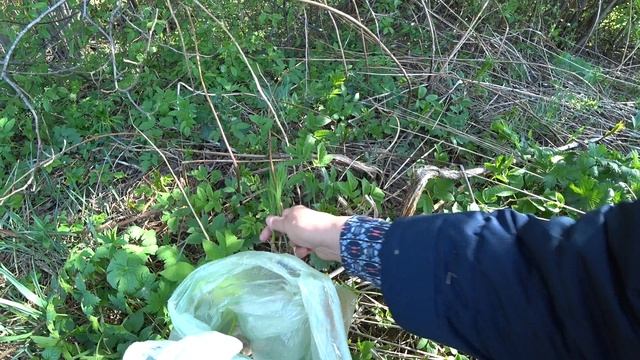 в лес 9 мая 2023 1ч смотреть онлайн