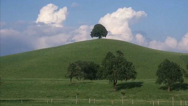 Pettiliand смотреть онлайн