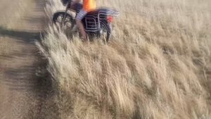 Первый раз на мопеде Альфа в 10 лет