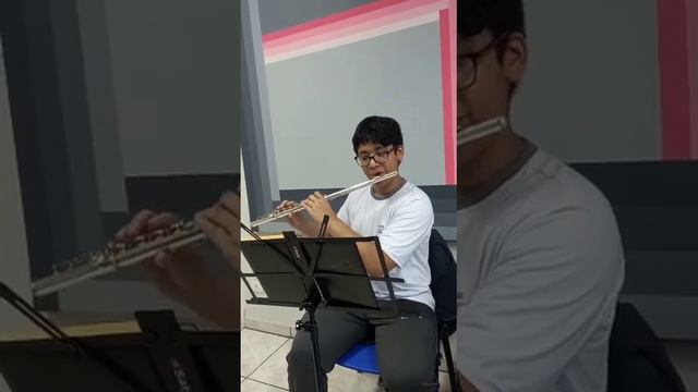 Hino CCB 36 (A Fiel Proteção) Flauta Transversal. смотреть онлайн