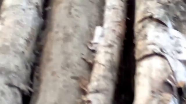 старый железнодорожный мост другой дороги нет смотреть онлайн