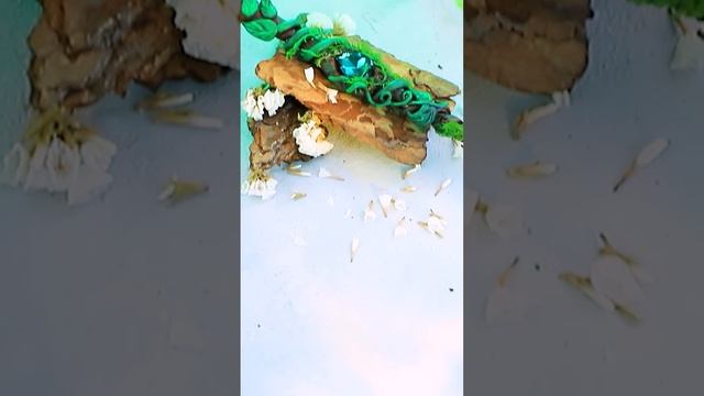 Красивая заколка для волос в стиле стихии Земли! Делаем заколку своими руками! #shorts #trend #DIY смотреть онлайн