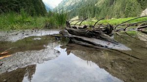 Как поймать карпа летом? Ловля карпа в жару!!!