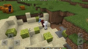 Minecraft: entity 505 vs entity 404