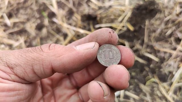 Поиск старинного поселения! Поиск старины и монет.