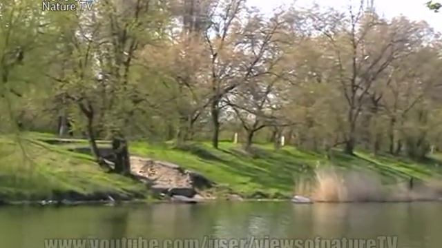 красивый берег - красота природы.mpg смотреть онлайн