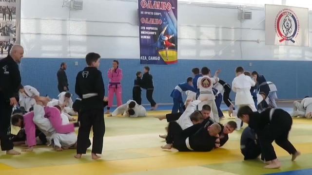 Мастер-класс профессора Леонида Гатовского и аттестация на пояса бразильского джиу-джитсу .