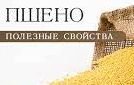 Полезные свойства пшенной каши.mp4