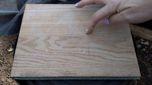 Стаканчики для рассады продаются в рулоне и служат много лет