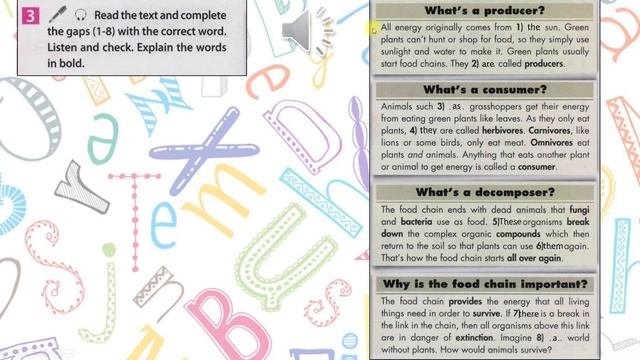 Spotlight 7. Модуль 8. Extensive Reading