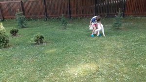 Супер Умная Мареммо-абруццкая овчарка