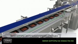 Формовочные линии VEMAG – для производства полуфабрикатов